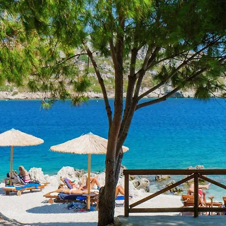 The Yiameli Collection - Levandi * Skinária