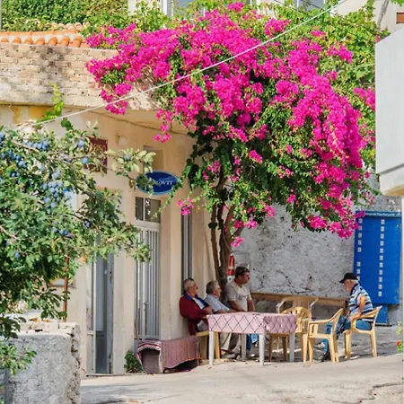 The Yiameli Collection - Levandi