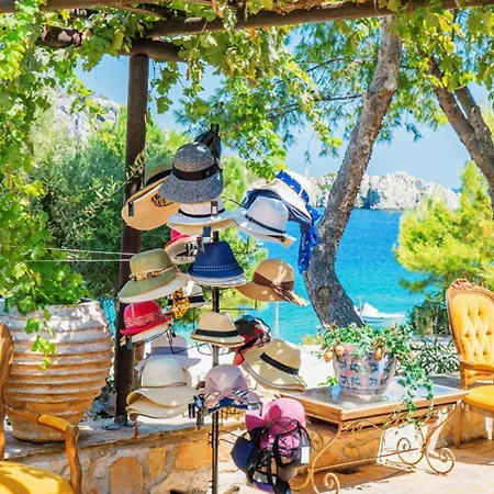 The Yiameli Collection - Levandi Skinária